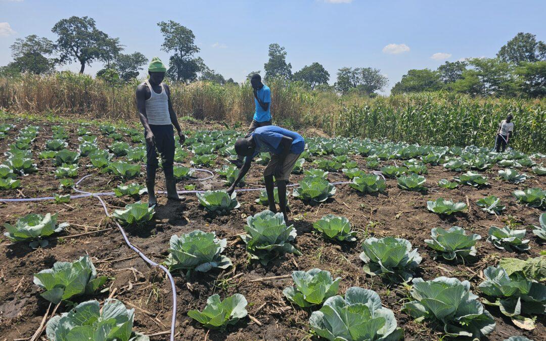 Neues Projekt in Uganda gestartet