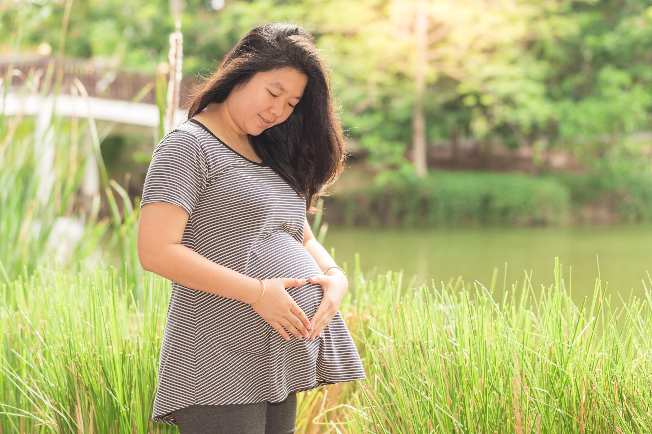 Pregnant woman holding her belly in the green gardent.